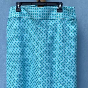 Talbots Skirt